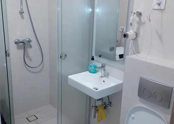 апартман пасент 诺威萨